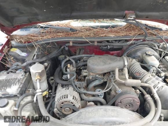 1998 Chevrolet Blazer LS with VIN 1GNDT13W7W2250368, listed as a IAAI auction lot 42723653 with 321,790 mi miles and . Bid and sale history available at DreamBid. Image 10.