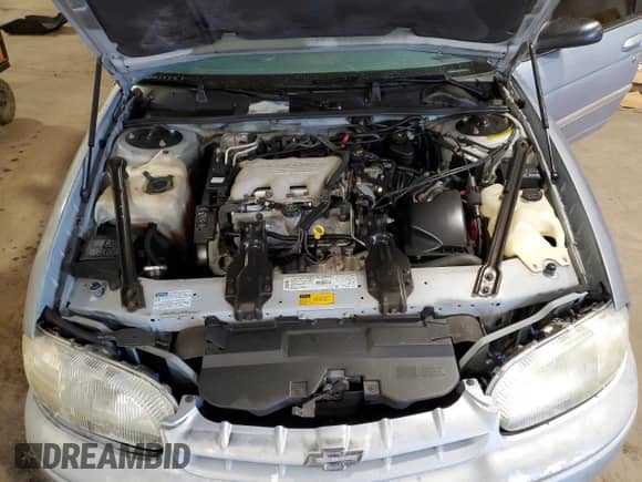 1997 Chevrolet Lumina с VIN 2G1WL52M2V9229073, выставлен на аукционе Copart как лот 55795205 с пробегом 186 413 миль миль и Списание • Salvage title. История ставок и продаж доступна на DreamBid. Изображение 11.