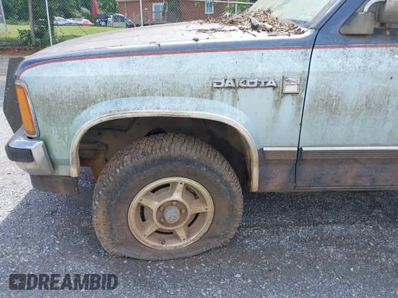 1987 Dodge Dakota with VIN 1B7GR14M9HS404759, listed as a IAAI auction lot 42513734 with 95,125 mi miles and . Bid and sale history available at DreamBid. Image 12.
