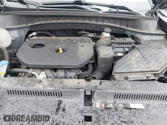 2017 Hyundai Tucson SE with VIN KM8J33A46HU509332, listed as a IAAI auction lot 43161306 with 98,936 mi miles and . Bid and sale history available at DreamBid. Image 10.