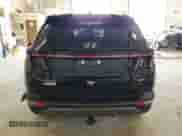 2024 Hyundai Tucson Limited с VIN 5NMJECDEXRH406815, выставлен на аукционе Copart как лот 57302105 с пробегом 22 754 миль миль и Списание • Salvage title. История ставок и продаж доступна на DreamBid. Изображение 6.