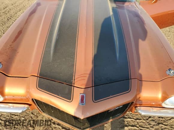 1971 Chevrolet Camaro с VIN 124871N564055, выставлен на аукционе Copart как лот 80329885 с пробегом 17 880 миль миль и Чистый • Clean title. История ставок и продаж доступна на DreamBid. Изображение 11.