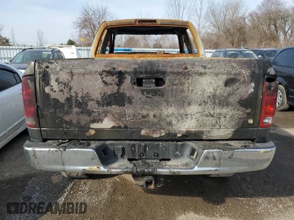 2003 Dodge 1500 ST z VIN 1D7HU18N33S166167, wystawiony jako Copart lot #47025965 z przebiegiem Nie podano mil oraz Nie do naprawy • Non repairable. Historia ofert i sprzedaży dostępna na DreamBid. Obrazek 6.