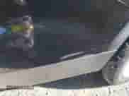 2016 Ford Explorer with VIN 1FM5K7B87GGC01161, listed as a IAAI auction lot 43493358 with 187,602 mi miles and . Bid and sale history available at DreamBid. Image 6.