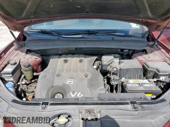 2008 Hyundai Santa Fe GLS z VIN 5NMSG13D08H175448, wystawiony jako Copart lot #64525085 z przebiegiem 213 292 mil mil oraz Czysty tytuł • Clean title. Historia ofert i sprzedaży dostępna na DreamBid. Obrazek 12.