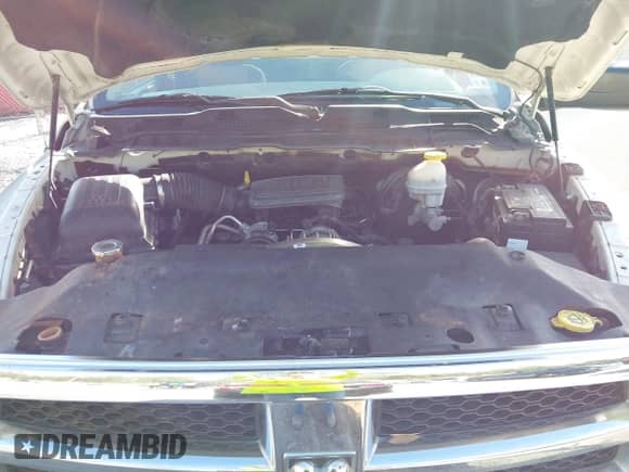 2009 Dodge 1500 ST with VIN 1D3HB16K19J520511, listed as a IAAI auction lot 41895713 with 200,124 mi miles and . Bid and sale history available at DreamBid. Image 10.