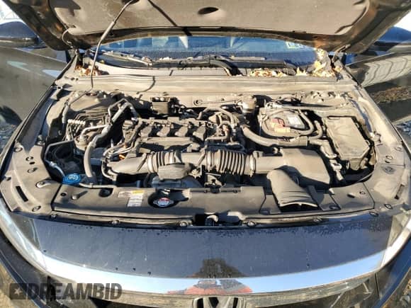 2019 Honda Accord EX-L z VIN 1HGCV1F52KA041056, wystawiony jako Copart lot #86512735 z przebiegiem Nie podano mil oraz Szkoda całkowita • Salvage title. Historia ofert i sprzedaży dostępna na DreamBid. Obrazek 11.