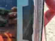 1978 Chevrolet Corvette с VIN 1Z87L8S439824, выставлен на аукционе Copart как лот 81397654 с пробегом 64 665 миль миль и Списание • Salvage title. История ставок и продаж доступна на DreamBid. Изображение 13.