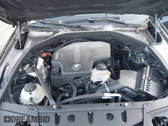 2015 BMW 5 Series 528i xDrive z VIN WBA5A7C51FD627226, wystawiony jako IAAI lot #43389818 z przebiegiem Nie podano mil oraz . Historia ofert i sprzedaży dostępna na DreamBid. Obrazek 10.