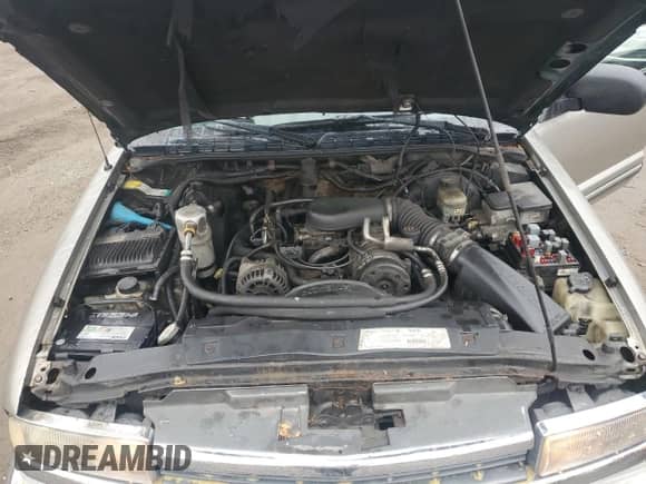 1998 Chevrolet Blazer LT z VIN 1GNDT13W8W2283752, wystawiony jako Copart lot #80677034 z przebiegiem 254 376 mil mil oraz Szkoda całkowita • Salvage title. Historia ofert i sprzedaży dostępna na DreamBid. Obrazek 13.