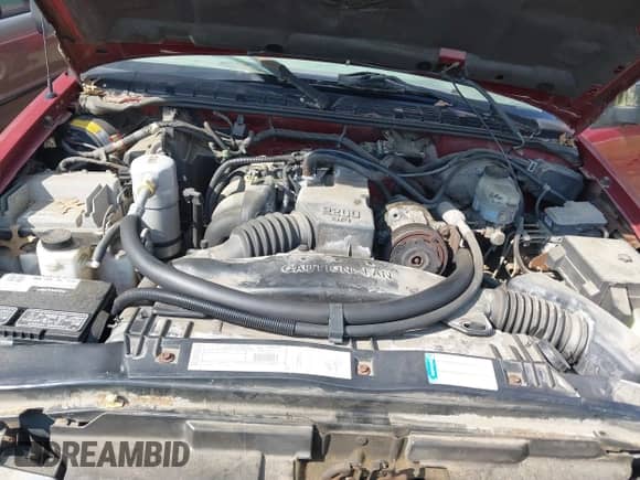 2000 Chevrolet S-10 с VIN 1GCCS1447YK125135, выставлен на аукционе IAAI как лот 43146315 с пробегом 43 735 миль миль и . История ставок и продаж доступна на DreamBid. Изображение 10.