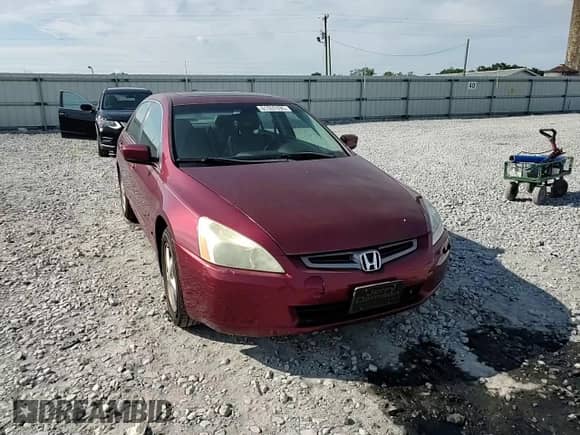 2004 Honda Accord EX with VIN 1HGCM56834A066538, listed as a Copart auction lot 81507495 with 135,797 mi miles and Salvage title. Bid and sale history available at DreamBid. Image 13.