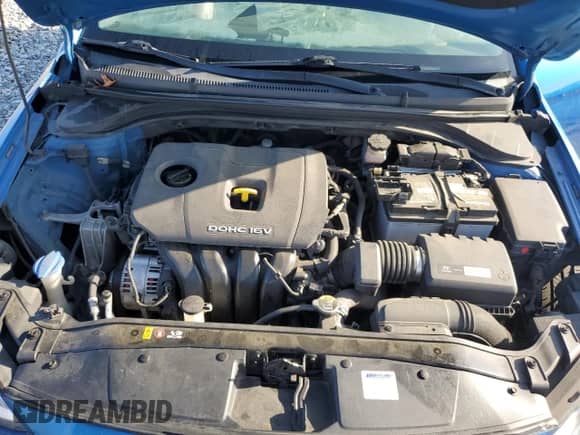 2017 Hyundai Elantra Limited with VIN 5NPD84LF2HH035381, listed as a Copart auction lot 65329975 with 175,320 mi miles and Salvage title. Bid and sale history available at DreamBid. Image 11.