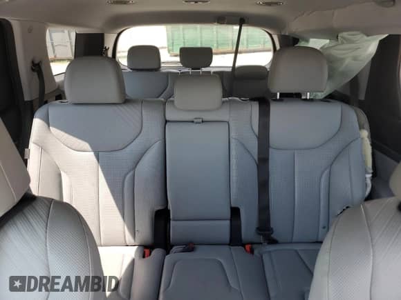 2023 Hyundai Palisade SEL с VIN KM8R4DGE9PU526937, выставлен на аукционе Copart как лот 67285095 с пробегом 27 680 миль миль и Списание • Salvage title. История ставок и продаж доступна на DreamBid. Изображение 10.