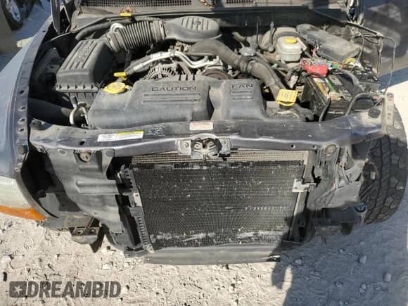 2003 Dodge Dakota с VIN 1D7HG12XX3S110986, выставлен на аукционе Copart как лот 77675734 с пробегом 108 529 миль миль и Списание • Salvage title. История ставок и продаж доступна на DreamBid. Изображение 13.