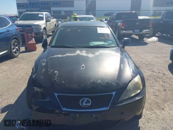 2008 Lexus IS 250 с VIN JTHBK262085075558, выставлен на аукционе IAAI как лот 43485804 с пробегом 233 752 миль миль и . История ставок и продаж доступна на DreamBid. Изображение 12.