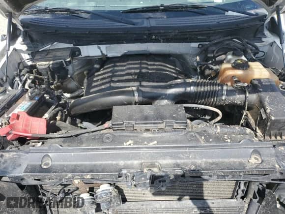 2012 Ford F-150 XL with VIN 1FTFW1ET2CFB91326, listed as a Copart auction lot 64318435 with 207,876 mi miles and Salvage title. Bid and sale history available at DreamBid. Image 11.