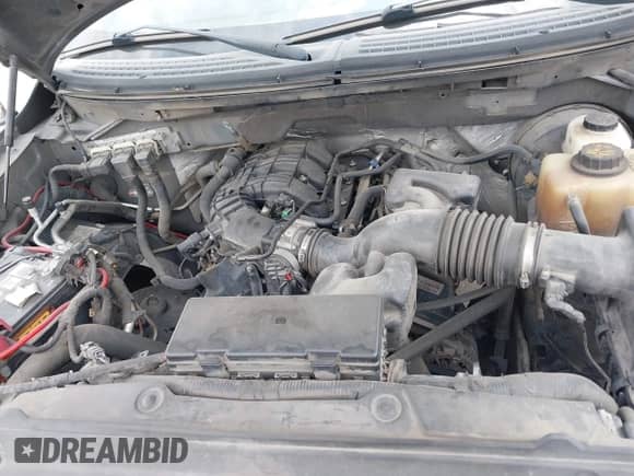 2011 Ford F-150 XL with VIN 1FTEW1CM6BFD08055, listed as a IAAI auction lot 42302966 with 204,167 mi miles and . Bid and sale history available at DreamBid. Image 10.