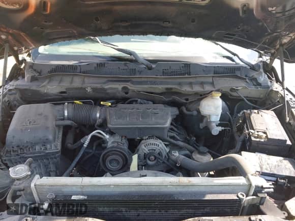 2010 Dodge 1500 ST with VIN 1D7RB1GP5AS214178, listed as a IAAI auction lot 42673977 with 236,934 mi miles and . Bid and sale history available at DreamBid. Image 10.