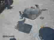 2013 Chevrolet Silverado 1500 Work Truck z VIN 1GCNCPEX0DZ350807, wystawiony jako Copart lot #71192755 z przebiegiem Nie podano mil oraz Nie do naprawy • Non repairable. Historia ofert i sprzedaży dostępna na DreamBid. Obrazek 12.