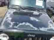 2007 Jeep Wrangler Unlimited Sahara с VIN 1J4GA59187L178391, выставлен на аукционе IAAI как лот 42422715 с пробегом 134 256 миль миль и . История ставок и продаж доступна на DreamBid. Изображение 19.