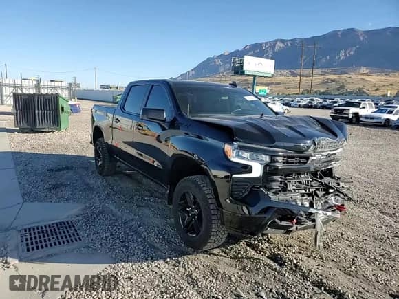 2024 Chevrolet Silverado 1500 LT Trail Boss с VIN 3GCPDFEK4RG301248, выставлен на аукционе Copart как лот 83759215 с пробегом 23 985 миль миль и Списание • Salvage title. История ставок и продаж доступна на DreamBid. Изображение 13.