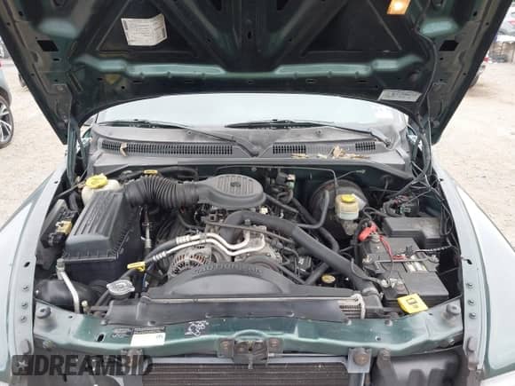 1999 Dodge Dakota с VIN 1B7GG26Y0XS261615, выставлен на аукционе IAAI как лот 43436216 с пробегом 126 384 миль миль и . История ставок и продаж доступна на DreamBid. Изображение 10.