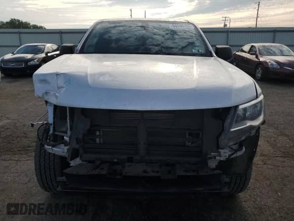 2020 Chevrolet Colorado 2WD Work Truck with VIN 1GCHSBEA9L1201145, listed as a Copart auction lot 66556705 with 96,051 mi miles and Salvage title. Bid and sale history available at DreamBid. Image 5.