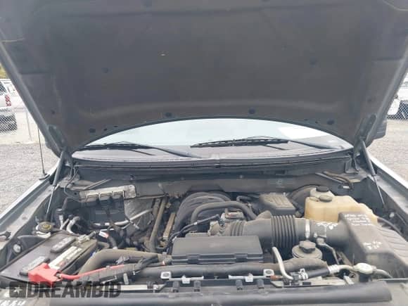 2010 Ford F-150 XL with VIN 1FTEX1C81AFC76209, listed as a IAAI auction lot 43378453 with 116,955 mi miles and . Bid and sale history available at DreamBid. Image 10.