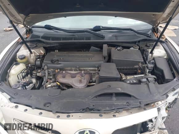 2009 Toyota Camry LE with VIN 4T1BE46K69U859492, listed as a IAAI auction lot 43161261 with 120,180 mi miles and . Bid and sale history available at DreamBid. Image 10.