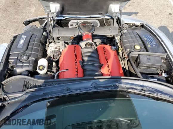 2003 Chevrolet Corvette Z06 with VIN 1G1YY12S635112866, listed as a Copart auction lot 69634004 with 16,969 mi miles and Salvage title. Bid and sale history available at DreamBid. Image 12.