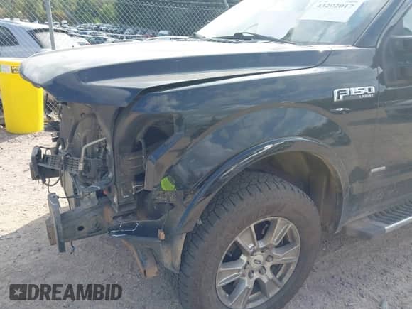 2016 Ford F-150 XLT z VIN 1FTFW1EG4GFC67217, wystawiony jako IAAI lot #43202017 z przebiegiem 227 685 mil mil oraz . Historia ofert i sprzedaży dostępna na DreamBid. Obrazek 21.