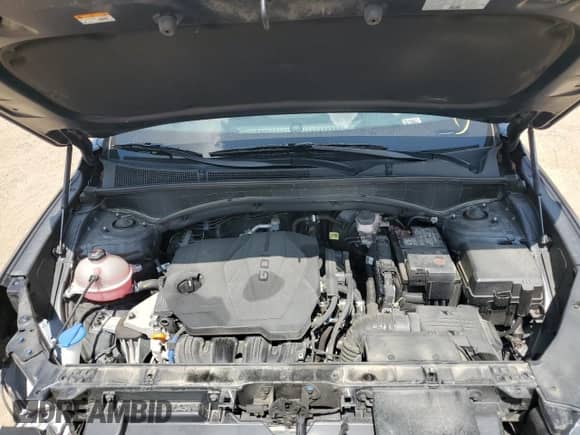 2023 Hyundai Santa Fe SEL with VIN 5NMS3DAJ0PH522359, listed as a Copart auction lot 67424705 with 56,935 mi miles and Salvage title. Bid and sale history available at DreamBid. Image 12.