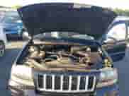 2004 Jeep Grand Cherokee Laredo с VIN 1J4GW48S94C334648, выставлен на аукционе IAAI как лот 42191008 с пробегом 155 411 миль миль и . История ставок и продаж доступна на DreamBid. Изображение 10.