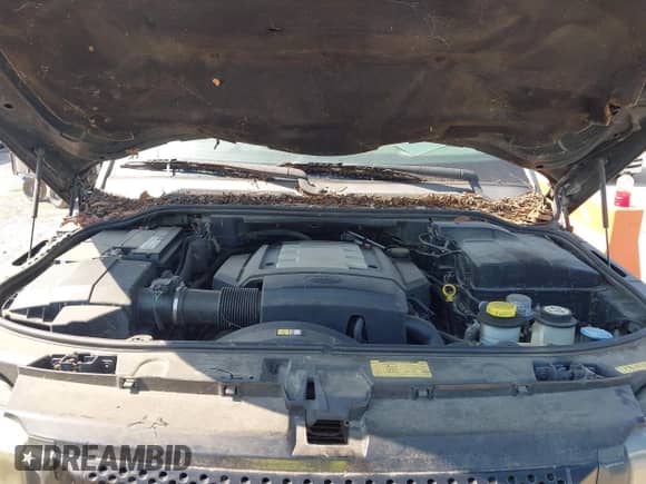 2006 Land Rover Range Rover Sport HSE z VIN SALSF254X6A981884, wystawiony jako IAAI lot #42932244 z przebiegiem 123 059 mil mil oraz . Historia ofert i sprzedaży dostępna na DreamBid. Obrazek 10.