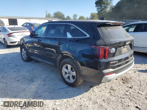 2025 Kia Sorento LX with VIN 5XYRG4JC8SG314169, listed as a Copart auction lot 70184635 with 13,356 mi miles and Salvage title. Bid and sale history available at DreamBid. Image 2.