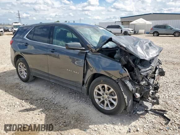 2019 Chevrolet Equinox LT with VIN 2GNAXKEV7K6272448, listed as a Copart auction lot 81733365 with 147,132 mi miles and Salvage title. Bid and sale history available at DreamBid. Image 4.