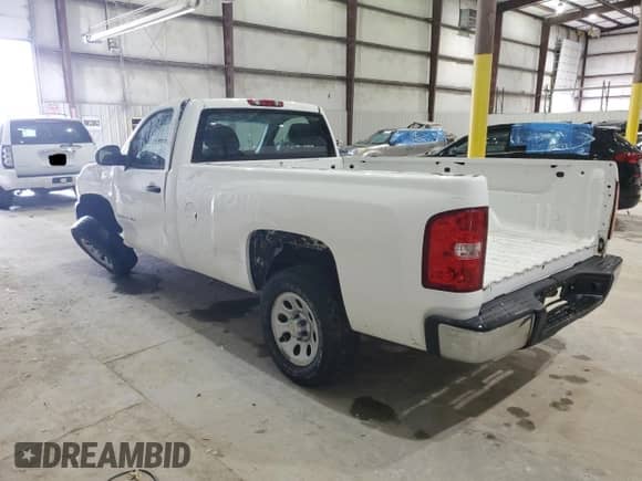 2009 Chevrolet Silverado 1500 Work Truck with VIN 1GCEC14X79Z208587, listed as a Copart auction lot 58415955 with 248,450 mi miles and Non repairable. Bid and sale history available at DreamBid. Image 2.