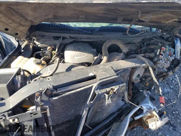 2003 GMC Sierra 1500 Work Truck with VIN 1GTEC14V33Z235727, listed as a Copart auction lot 75828164 with Not provided miles and Salvage title. Bid and sale history available at DreamBid. Image 11.