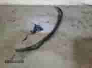 2015 Subaru Forester Touring with VIN JF2SJAUC6FH458945, listed as a Copart auction lot 87421195 with 65,461 mi miles and Salvage title. Bid and sale history available at DreamBid. Image 13.