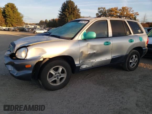 2004 Hyundai Santa Fe GLS with VIN KM8SC73D24U850410, listed as a Copart auction lot 78147144 with 181,995 mi miles and Salvage title. Bid and sale history available at DreamBid. Image 1.