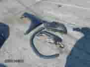 2018 Honda Pilot EX-L z VIN 5FNYF6H57JB044438, wystawiony jako IAAI lot #42996544 z przebiegiem 86 612 mil mil oraz . Historia ofert i sprzedaży dostępna na DreamBid. Obrazek 12.