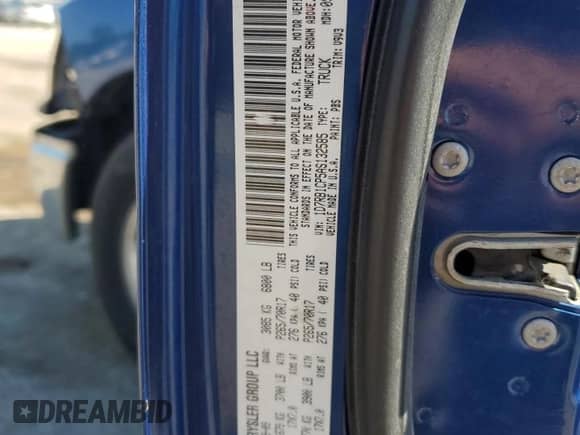 2010 Dodge 1500 ST with VIN 1D7RB1CP5AS132585, listed as a Copart auction lot 53256025 with 290,835 mi miles and Clean title. Bid and sale history available at DreamBid. Image 12.