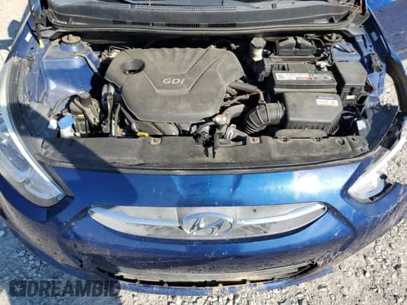 2017 Hyundai Accent SE с VIN KMHCT5AE9HU319828, выставлен на аукционе Copart как лот 84009785 с пробегом 152 465 миль миль и Списание • Salvage title. История ставок и продаж доступна на DreamBid. Изображение 11.