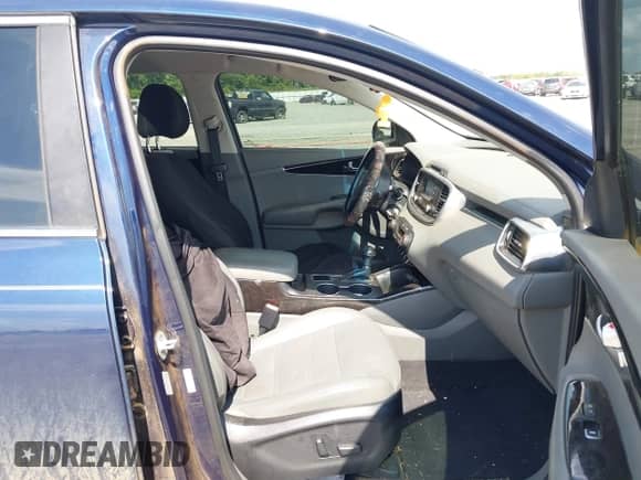 2016 Kia Sorento EX with VIN 5XYPH4A13GG122295, listed as a IAAI auction lot 42480803 with 96,807 mi miles and . Bid and sale history available at DreamBid. Image 5.