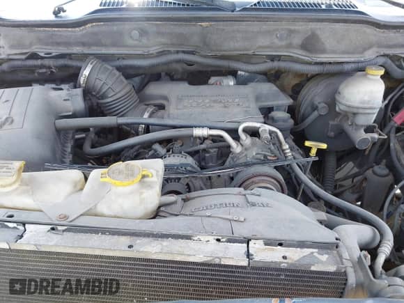2005 Dodge 2500 SLT with VIN 3D7KS28D65G771187, listed as a IAAI auction lot 42235215 with Not provided miles and . Bid and sale history available at DreamBid. Image 10.