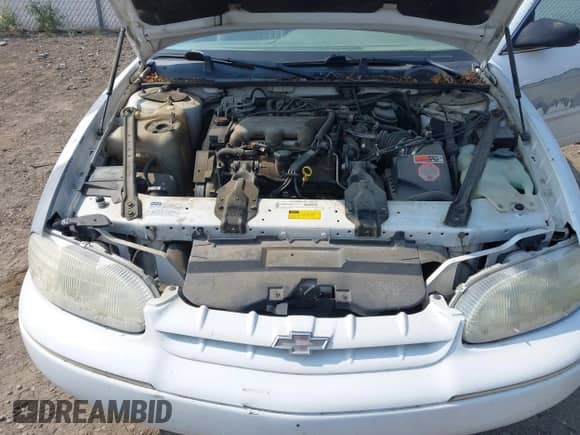 1998 Chevrolet Lumina LS с VIN 2G1WL52M6W1106151, выставлен на аукционе IAAI как лот 43119630 с пробегом 170 607 миль миль и . История ставок и продаж доступна на DreamBid. Изображение 10.
