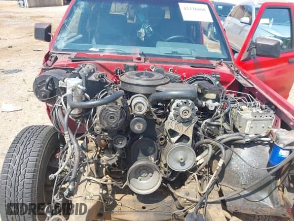 1991 Chevrolet Blazer with VIN 1GNDT13Z2M2233839, listed as a IAAI auction lot 42436668 with 99,931 mi miles and . Bid and sale history available at DreamBid. Image 10.