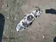 2012 Chevrolet Malibu 3LT z VIN 1G1ZF5E76CF324850, wystawiony jako Copart lot #68413615 z przebiegiem 178 166 mil mil oraz Szkoda całkowita • Salvage title. Historia ofert i sprzedaży dostępna na DreamBid. Obrazek 12.