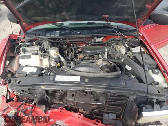 2004 Chevrolet Blazer LS with VIN 1GNDT13X44K156812, listed as a Copart auction lot 53612805 with Not provided miles and Salvage title. Bid and sale history available at DreamBid. Image 11.